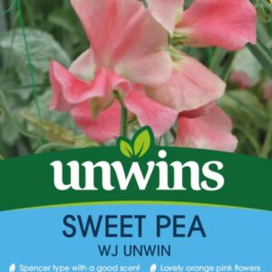 Unwins Flower Sweet Pea WJ Unwin - 11 Seeds
