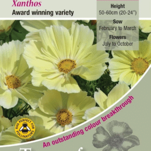 Kings Seeds Cosmos Xanthos Seeds